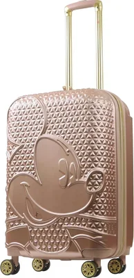Disney vs Arrow Luggage Purchase Guide