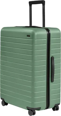 Away Large Checked Luggage, 29